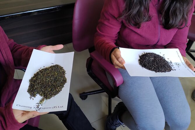 Tea Pluckers' Day - Walking through a working tea estate