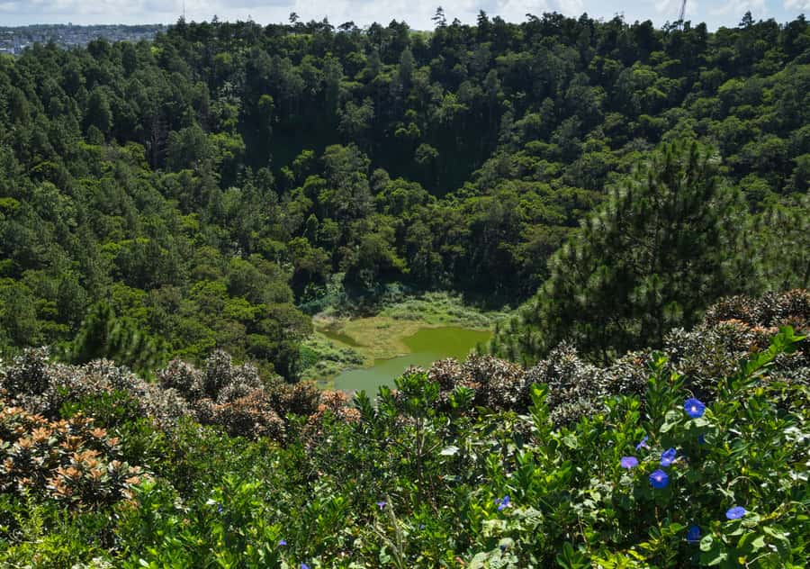 Tea Route: Lake, Forest, Tea Plantation & 3 Course Lunch - Is $58 good value?