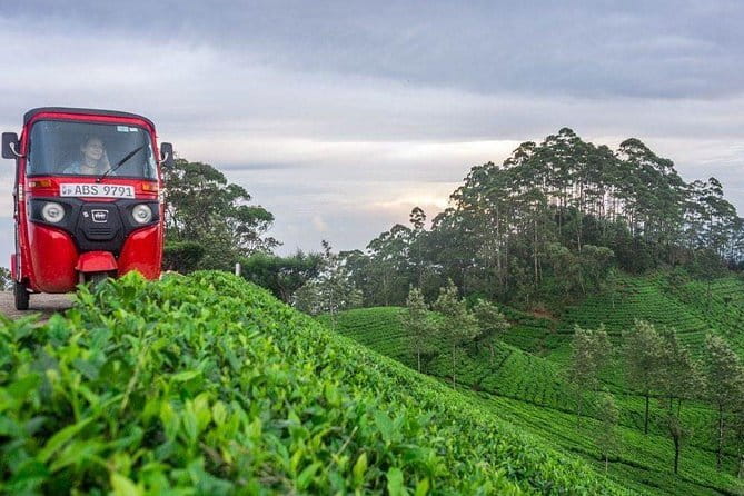 Tea Tasting in Nuwara Eliya - Starting with the 30-meter Lover’s Leap Falls