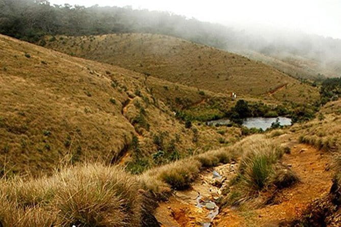 Tea Tasting in Nuwara Eliya - A private half-day at a useful price