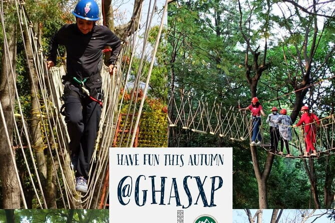 Tea Top Adventure Activities - Rope bridges above Palampur’s tea gardens