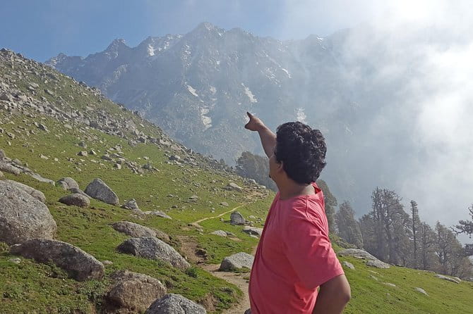Tea Top Adventure Activities - The tea estate setting is the real reward