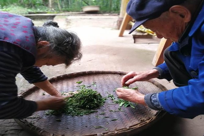 Tea Village in lost Town and Buddha 1 day tour - A short look around Leshan