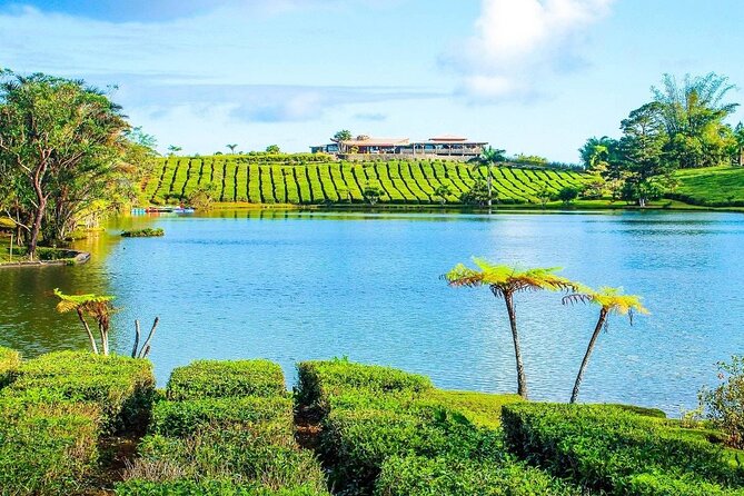 The East Discovery Tour: Bois-Cheri Tea Factory, Blue-Bay Marine Park & Lunch - Frederick Hendrick Museum and the Dutch beginning