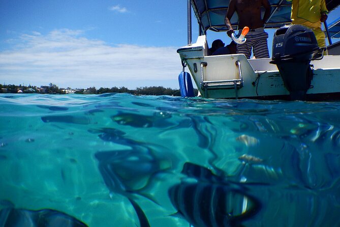 The East Discovery Tour: Bois-Cheri Tea Factory, Blue-Bay Marine Park & Lunch - Who should book this East Mauritius tour?