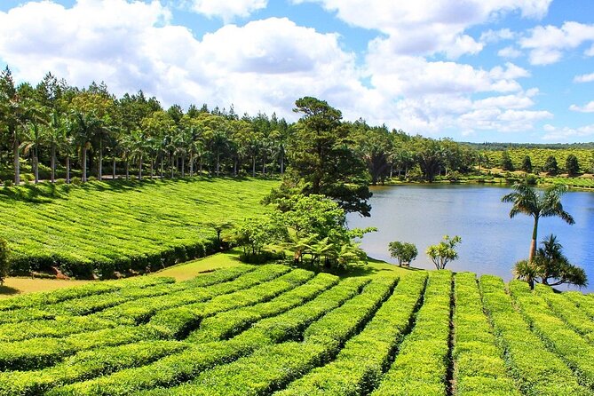 The Tea Story with Lunch - Breakfast gives the morning a local flavor