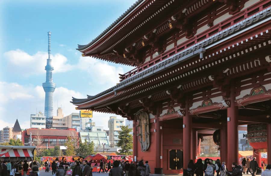 Tokyo: Full-Day Tour w/Tea Experience,Buffet Lunch & Cruise - Tokyo Tower: a strong finish above the city
