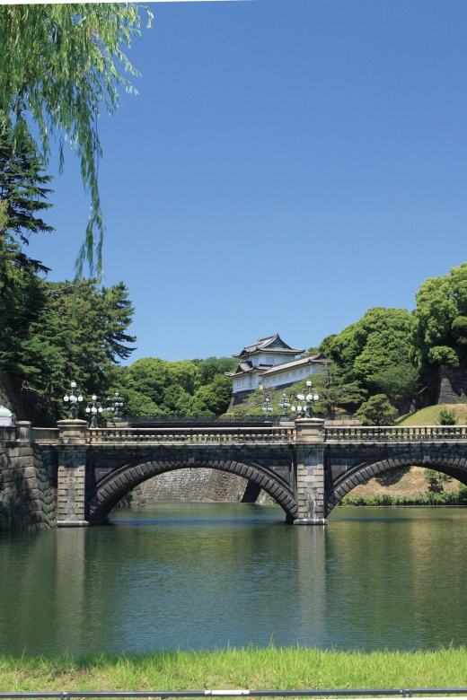 Tokyo: Full-Day Tour w/Tea Experience,Buffet Lunch & Cruise - Odaiba and the view beneath Rainbow Bridge