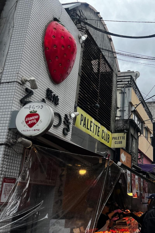 Tokyo Highlights Tour: Sumo, Sushi, Tea, and Tokyo Tower - Walking, timing, and who will enjoy it
