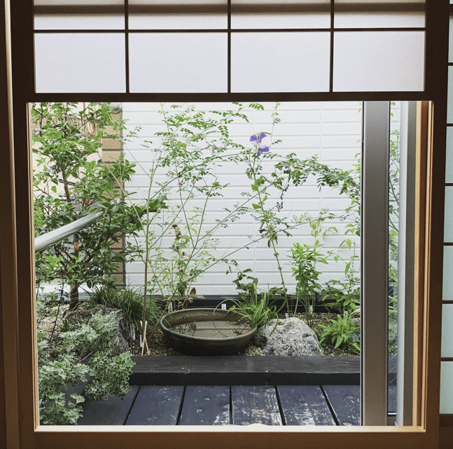 Tokyo: Tea Ceremony Experience in a small tea room - Whisking your own bowl of matcha