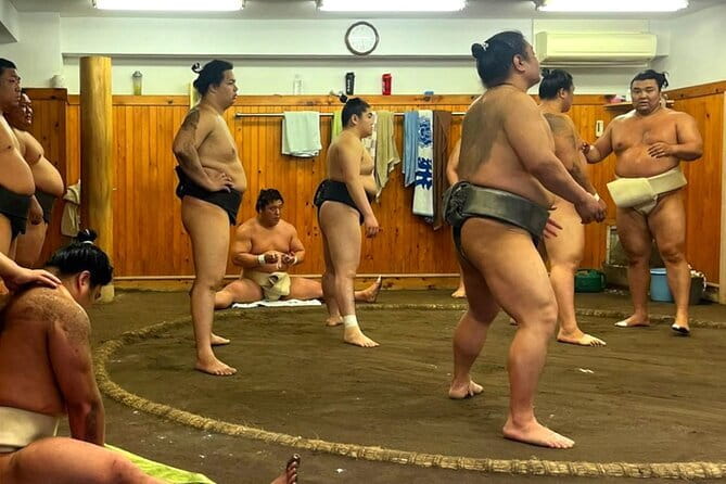 Tokyo Walking Tour : Sumo, Sushi, Tea, Temples and Tokyo Tower - Why this Tokyo day works so well