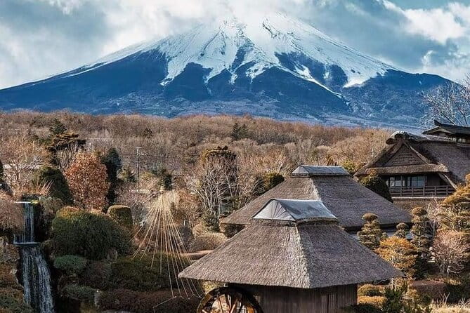 Tokyo Walking Tour : Sumo, Sushi, Tea, Temples and Tokyo Tower - What the $166.85 price includes