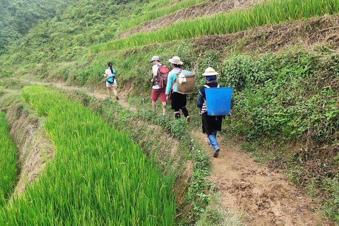 Trek Adventure in Ta Van Village, Lao Chai - Lunch in Lao Chai