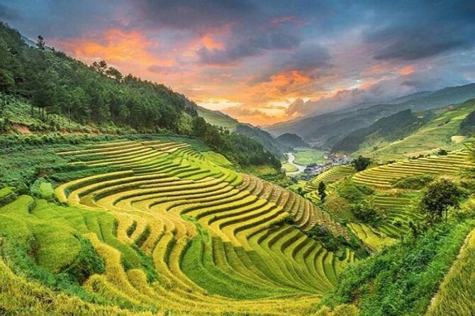 Trek Adventure in Ta Van Village, Lao Chai - The guide and the cultural side