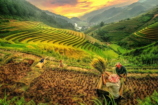 Trek Adventure in Ta Van Village, Lao Chai - Weather, timing, and practical comfort