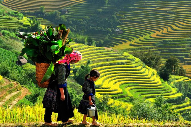 Trek Adventure in Ta Van Village, Lao Chai - Walking into Black Hmong Lao Chai