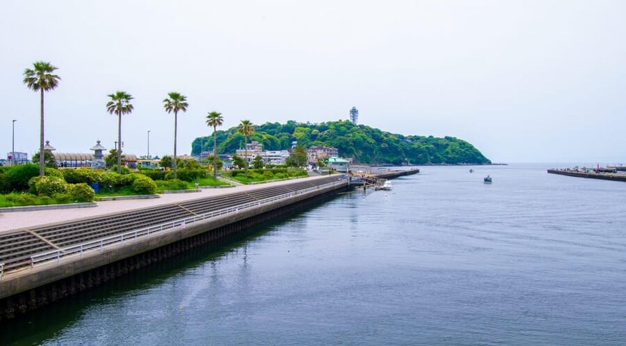 Trip to Kamakura & Enoshima: Shrines, Seaside, Temples &Tea - Kamakura street food and your lunch hour