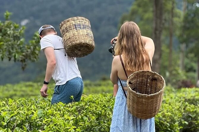Tuk Tuk Nuwara Eliya Tea Falls Adventure - Key points to know before booking