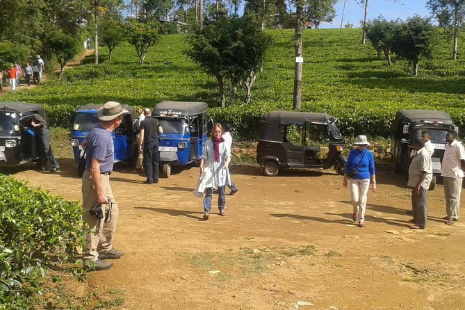Tuk Tuk safari and Picnic in The Tea Plantation from Ella,Haputale & Bandarawela - Key points before you book