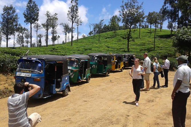 Tuk Tuk safari and Picnic in The Tea Plantation from Ella,Haputale & Bandarawela - Why Lipton’s Seat is worth the morning