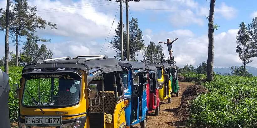 Tuk-Tuk Safari Liptons seat,Tea Fields Hike,TeaFactory Tour - A countryside picnic, with a sensible rain plan