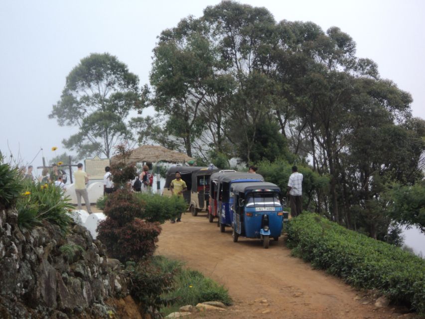 Tuk-Tuk Safari Liptons seat,Tea Fields Hike,TeaFactory Tour - Why the guide matters on this particular day