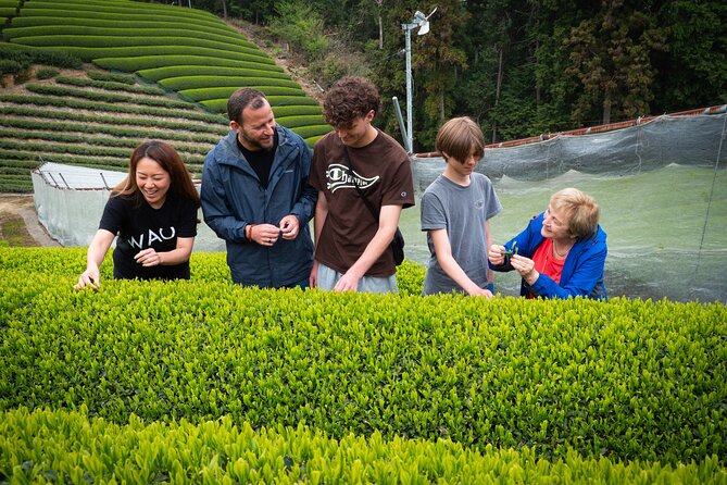 Uji and Wazuka Matcha Farm Half Day Private Guided Tour - Uji Shrine and the old bridge