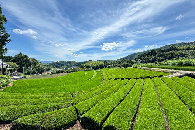 Uji and Wazuka Matcha Farm Half Day Private Guided Tour - The road into Wazuka