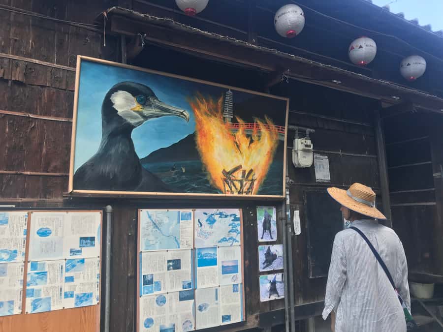 Uji: Green Tea Tour with Byodoin and Koshoji Temple Visits - Who should book this Uji tour?