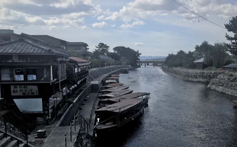 Uji: Green Tea Tour with Byodoin and Koshoji Temple Visits - Tasting Gyokuro instead of just buying matcha