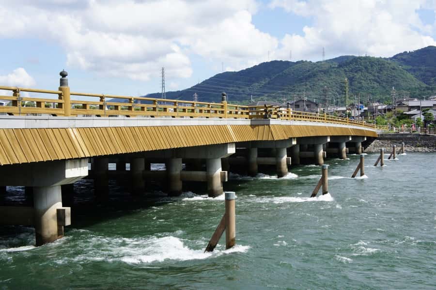 Uji: Green Tea Tour with Byodoin and Koshoji Temple Visits - Ujigami Shrine, spring water, and Shinto practice