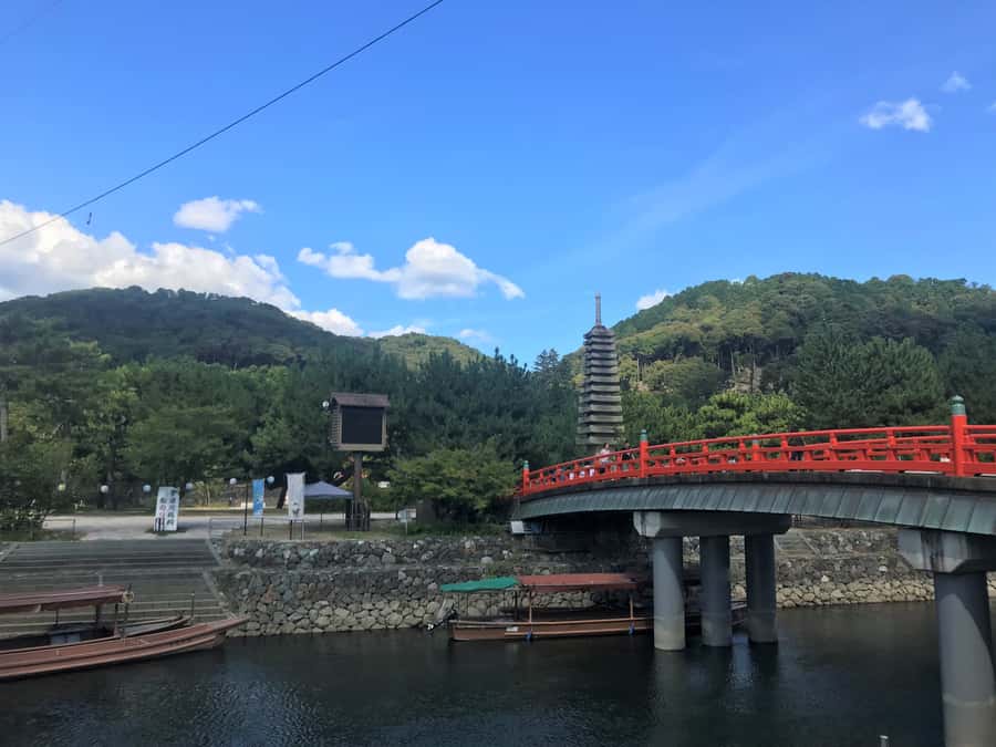 Uji: Green Tea Tour with Byodoin and Koshoji Temple Visits - Koshoji Temple and a quieter finish