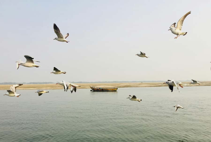 Varanasi: Sunrise walking tour with Chai & Arti Ceremony - Who should book this Varanasi morning tour?