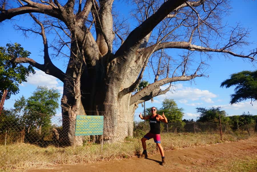 Victoria Falls: Cultural Tour with High Tea - Who Will Enjoy This Eight-Hour Day