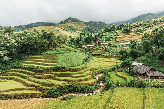 Vietnam Motorbike Tour to Ha Giang, Sapa, Mu Cang Chai - 8 Days - What This Eight-Day Ride Really Covers
