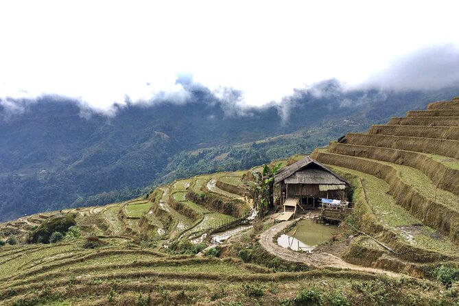 Vietnam Motorbike Tour To Sapa, Mu Cang Chai, Thac Ba-5 Days - Who will enjoy this ride most