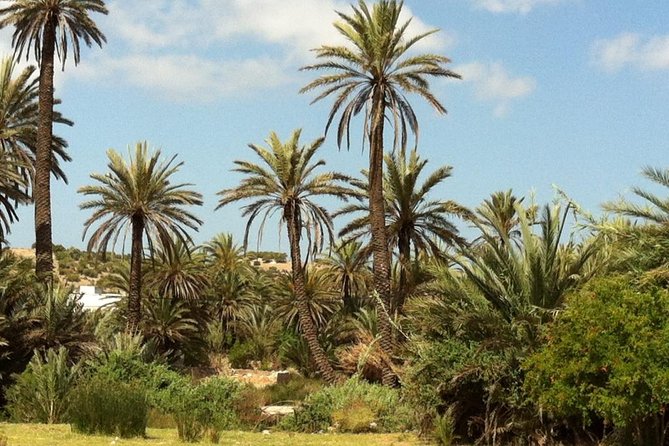 Visit the Oasis & Tea at the basket maker. - Key things to know before you go