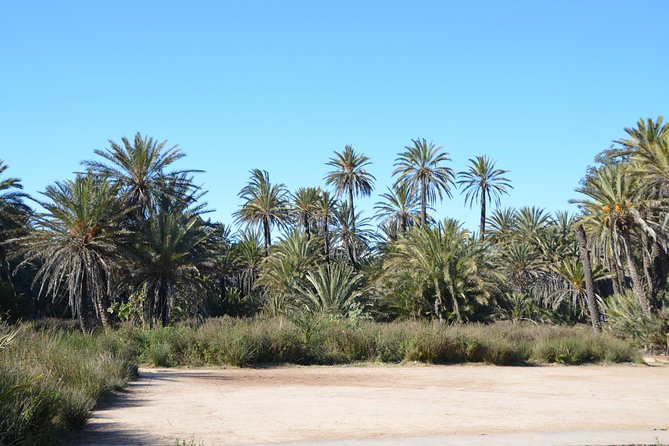 Visit the Oasis & Tea at the basket maker. - Why Ain el Hajar makes a good half-day outing