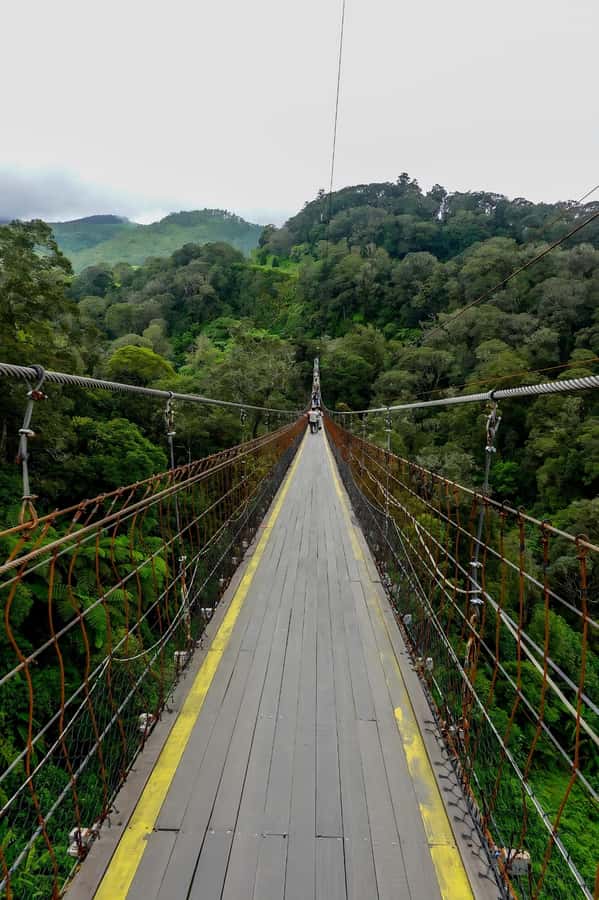 Volcano, Hot Spring, Mud Bath & Tea plantation all included - Kawah Putih gives the day its dramatic start