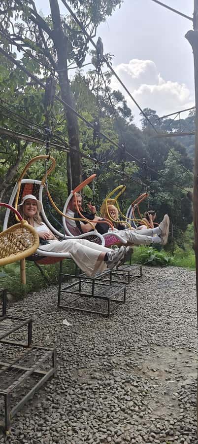 Volcano, Hot Spring, Mud Bath & Tea plantation all included - Who will enjoy this Bandung day trip most