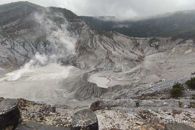 Volcano, Hot Spring, Tea Factory, rice fields and Coffee Tour - Why this Jakarta day trip works