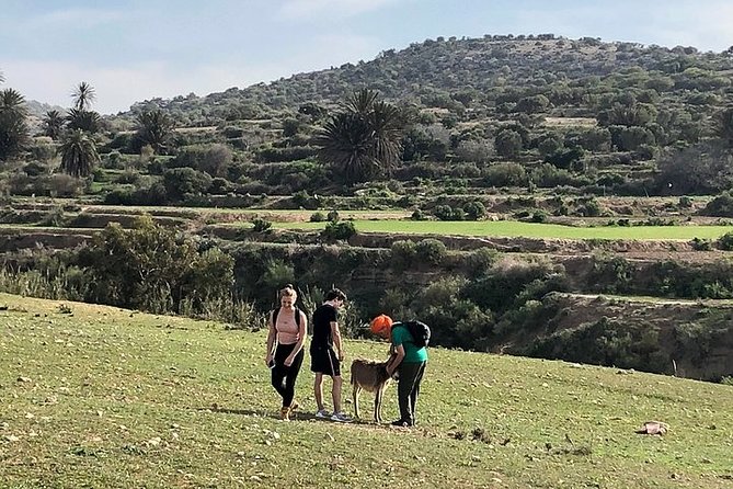 Walk to the cascade and marabout of Sidi Mbark & for a tea to Kaouki - Leaving Essaouira for Sidi Mbark