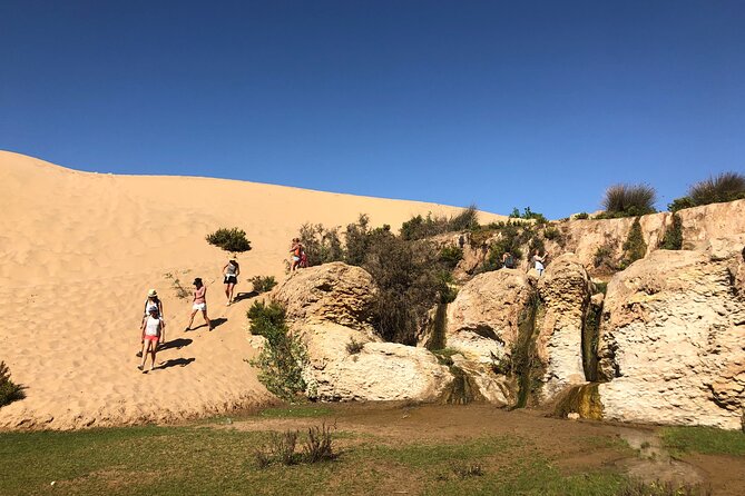 Walk to the cascade and marabout of Sidi Mbark & for a tea to Kaouki - The optional donkey ride for children