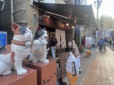 Walking Tour: Yanaka,Nezu& Sendagi: Tea Ceremony & Old Tokyo