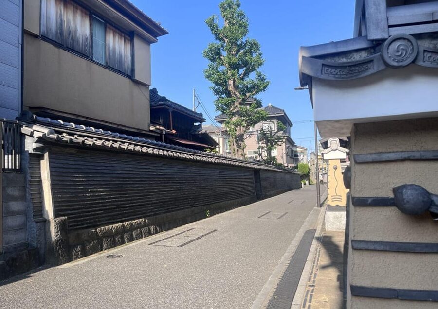 Walking Tour: Yanaka,Nezu& Sendagi: Tea Ceremony & Old Tokyo - Walking through Sendagi