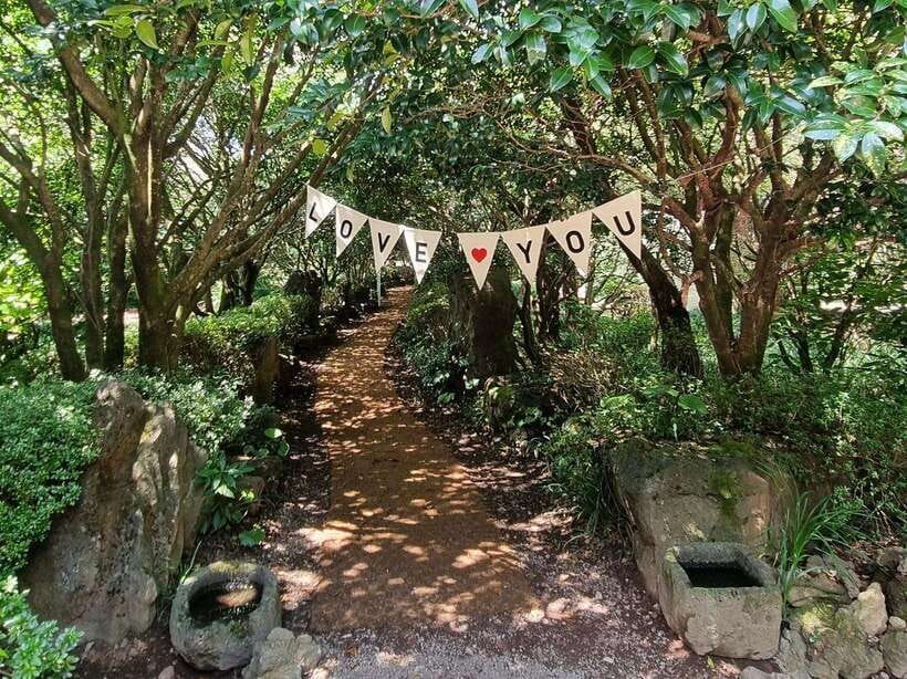 West & South Jeju: Hallasan Trail, Waterfall, Tea Field Tour - Eorimok: a soft introduction to Hallasan