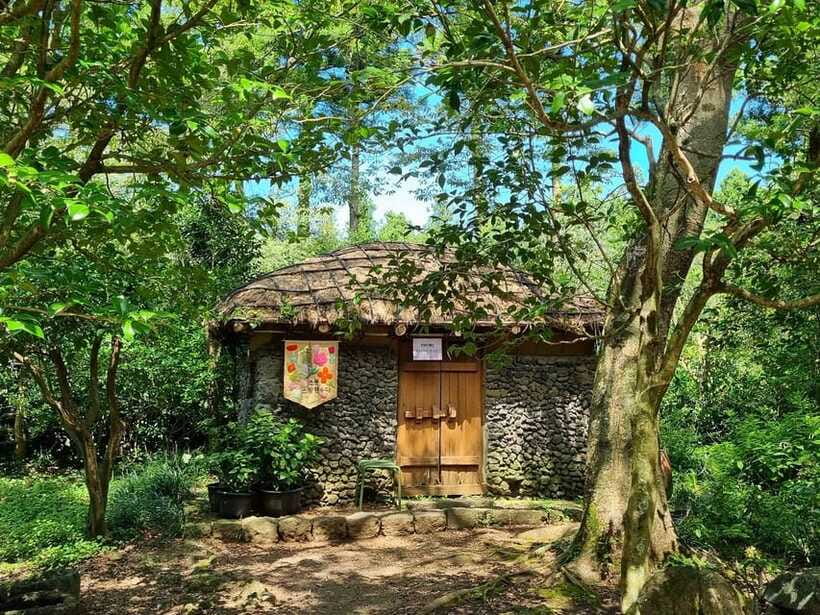 West & South Jeju: Hallasan Trail, Waterfall, Tea Field Tour - O’sulloc Tea Museum brings the day indoors