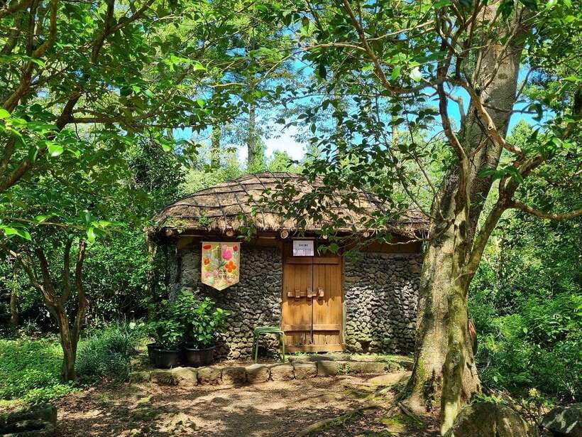 West & South Jeju: Hallasan Trail, Waterfall, Tea Field Tour - Starting early from Jeju City