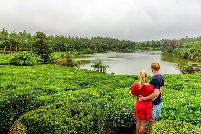 Wild South: Full-Day tour incl Rhumerie St Aubin, Bois cheri Tea factory & Lunch - What this southern Mauritius tour is really like
