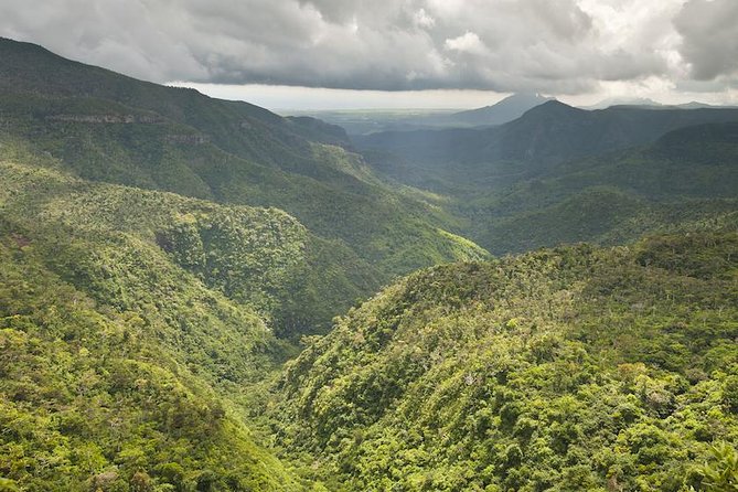 Wild South: Full-Day tour incl Rhumerie St Aubin, Bois cheri Tea factory & Lunch - Black River Gorges reveals the island’s wild side